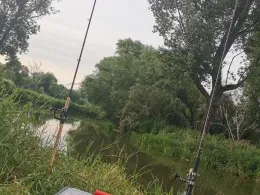 Weiße Elster (Profen)-1