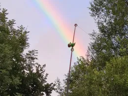 Weiße Elster (Profen)-4