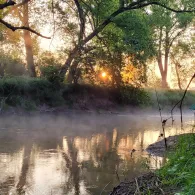 Weiße Elster (Profen)-2