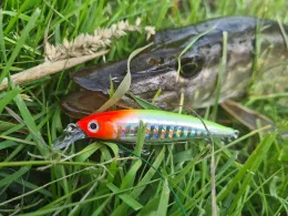 Splittingkanal (Papenburg)-3