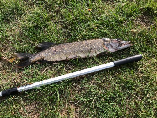 Splittingkanal (Papenburg)-4