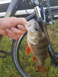 Splittingkanal (Papenburg)