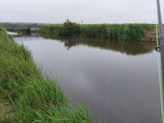 Schöpfwerkskanal Oldsum (Föhr)-4