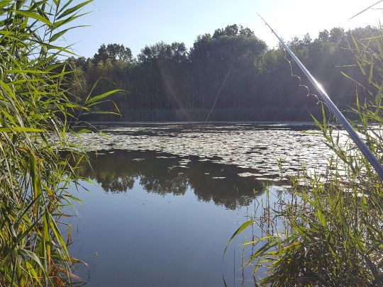 Heidesee (Halle-Nietleben)-1
