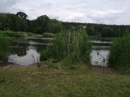 Heidesee (Halle-Nietleben)-4