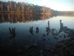 Heidesee (Halle-Nietleben)-2