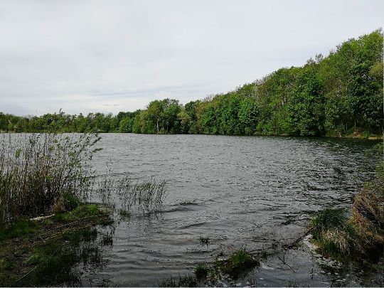 Baggersee Gusow-3