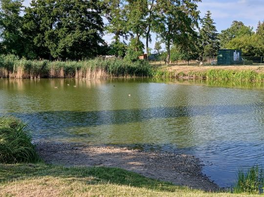 Teiche Großbadegast-1