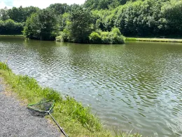 Teichanlage Blaeser-2