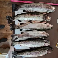 Teichanlage Blaeser-1