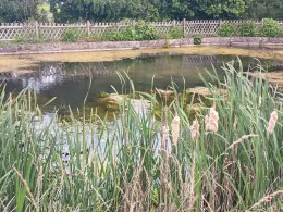 Dorfteich Greifenhagen