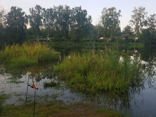 Naturbad Rehmsdorf-3