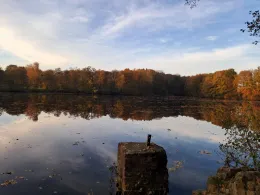 Lehmkuhle Settenbeck-4