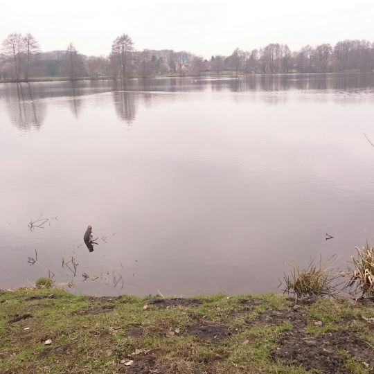 Surfsee (Cloppenburg) ALLE ANGELN