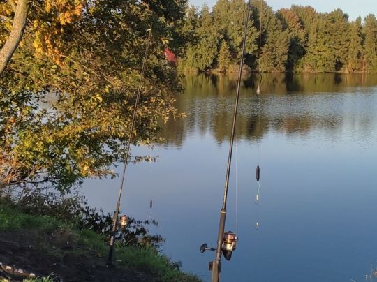 Surfsee (Cloppenburg) ALLE ANGELN