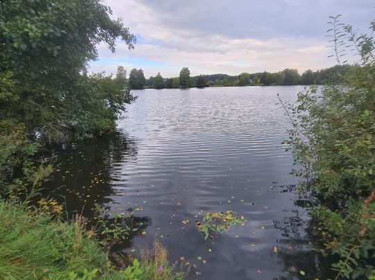 Surfsee (Cloppenburg)-4