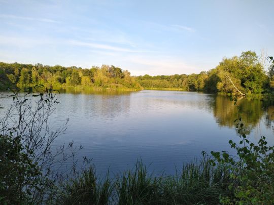 Reitgries See