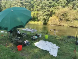 Aller (Langlingen)-1