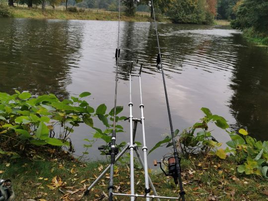 Aller (Langlingen)-4