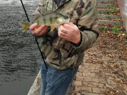 Kanal-Trave (Lübeck)-1