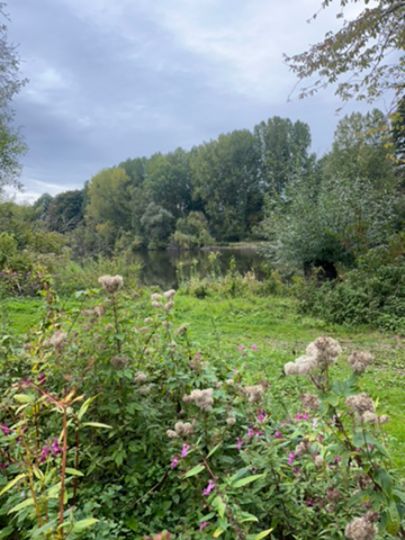 Theresiensee (Bockholt)-1