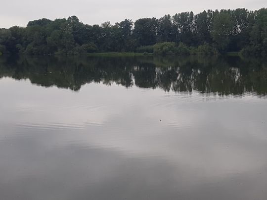 Theresiensee (Bockholt)