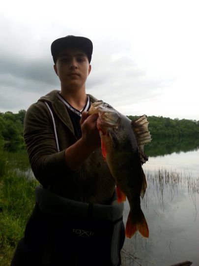 Weinfelder Maar (Totenmaar)-2