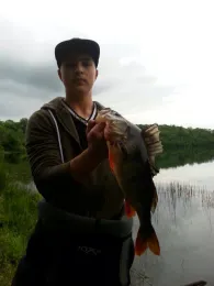 Weinfelder Maar (Totenmaar)-2