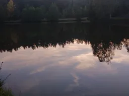 Inselweiher (Immenreuth)-2