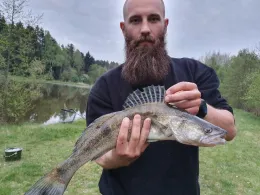 Inselweiher (Immenreuth)-1