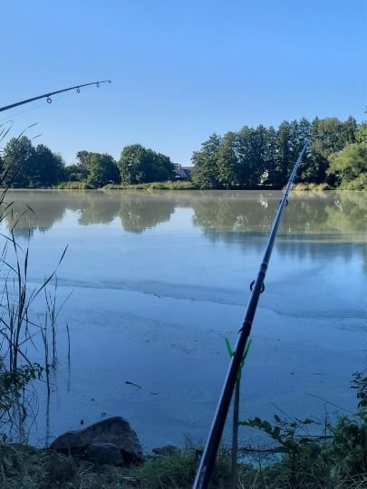 Schilfteich (Gotha)-2