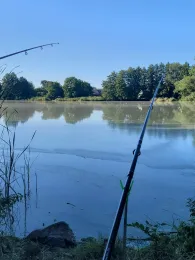 Schilfteich (Gotha)-2