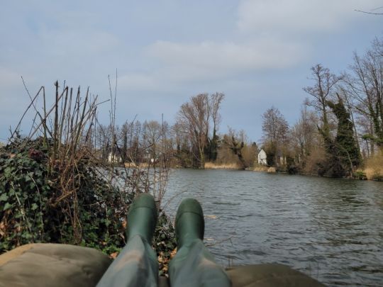 Schilfteich (Gotha)-1