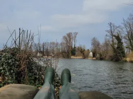 Schilfteich (Gotha)-1