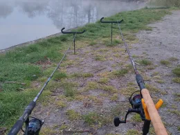 Schilfteich (Gotha)-3