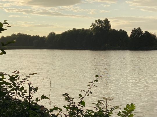 Schilfteich (Gotha)-4