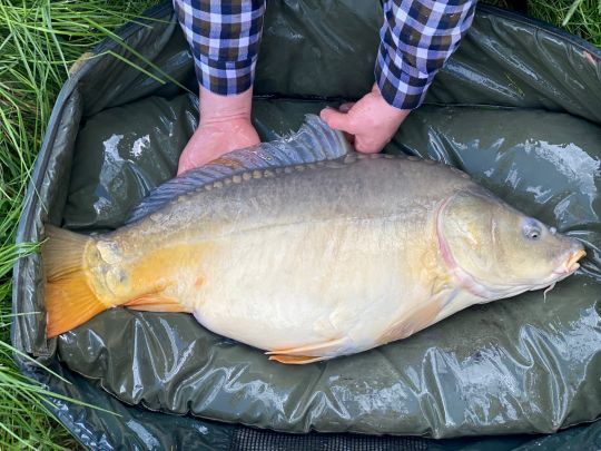 Enznerweiher (Kreben)