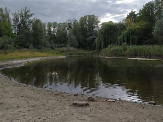 Teilungssee (Petershagen)