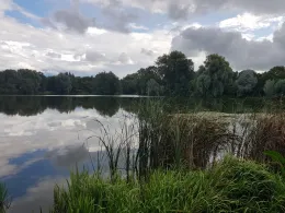 Rohrbruchteich (Berlin)-3