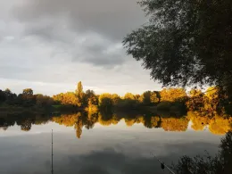 Rohrbruchteich (Berlin)-2