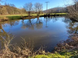 Kinzig-Altarm Höchst-1