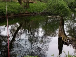 Kinzig-Altarm Höchst-3