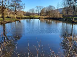 Kinzig-Altarm Höchst-4