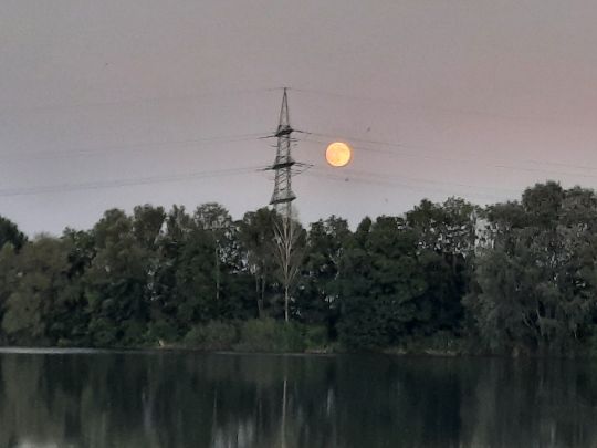 Angelsee Büttgerwald-1