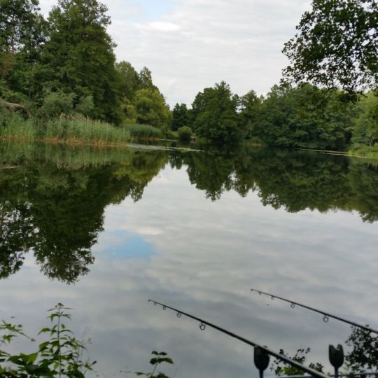 Holzgrube Finowfurt-3