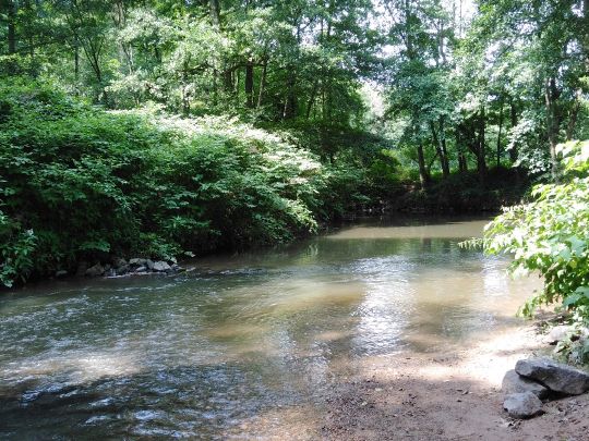 Mümling (Bad König)-0