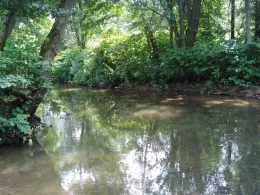 Mümling (Bad König)