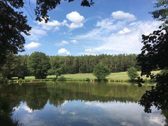 Manta-Weiher (Burgthann) angeln