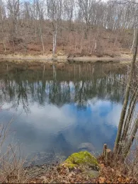 Großer Siebersteinsteich-1