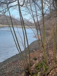 Großer Siebersteinsteich